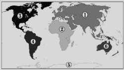 0900t2wf-593f-536x302.png