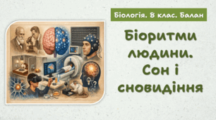 Біоритми людини. Сон і сновидіння. 8 клас НУШ