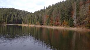 Тест з інтегрованого курсу Пізнаємо природу "Водні ресурси і вода на Землі"