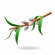 0900t3v3-097a-187x187.png