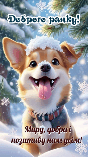 0900t4mz-2f12-285x507.png