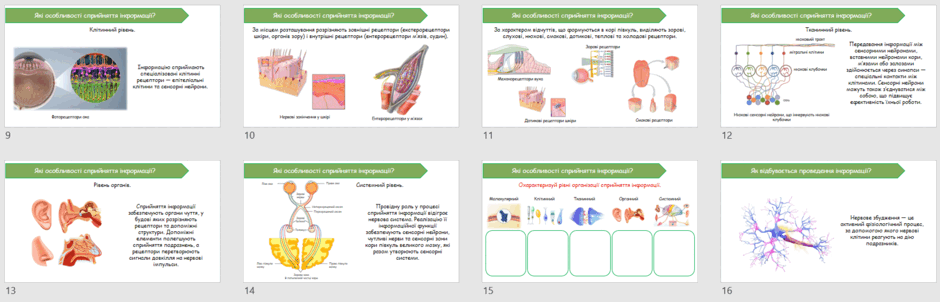 0900t4sz-0470-940x302.png