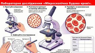 Презентація: Лабораторне дослідження «Мікроскопічна будова крові». 8 клас НУШ