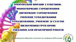 Тренувальні вправи з генетики. ПРАКТИЧНА РОБОТА. Розв’язування типових задач з генетики