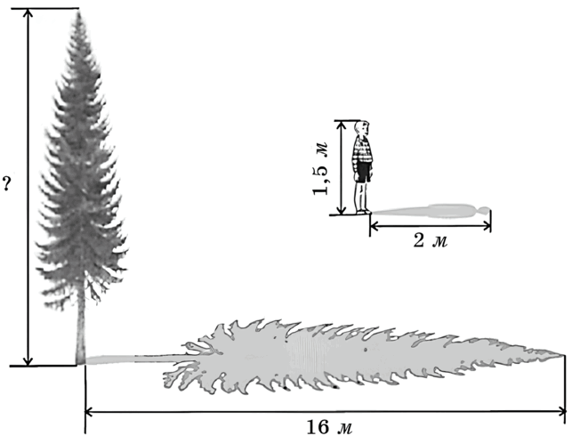 0900t5xb-f1ed-643x499.png