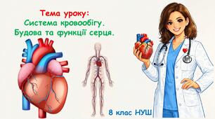 Презентація з біології: Система кровообігу.  Будова та функції серця. 8 клас НУШ