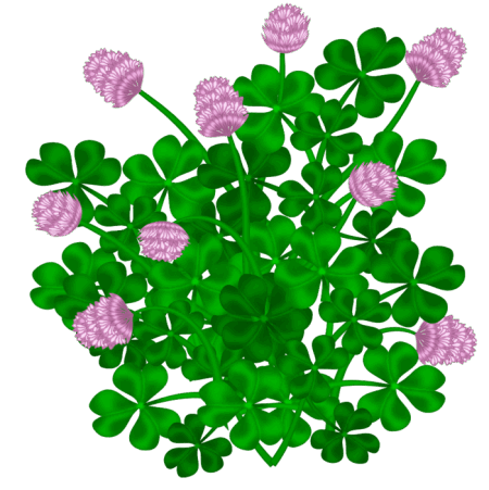 0900t65e-a5ef-450x451.png
