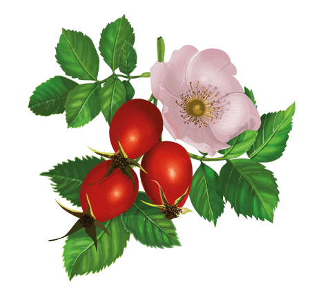 0900t661-d3ae-468x428.png