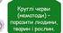 Круглі черви (підготовка до НМТ)