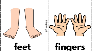 Flashcards Module 6 "My body" Smart Junior 1