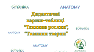 Дидактичні матеріали-таблиці  "Тканини тварин та рослин"