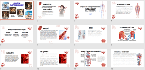 0900t81h-2c06-488x238.png