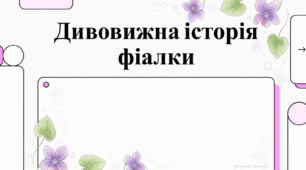 Дивовижна історія фіалки