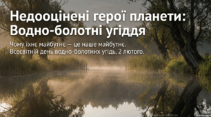 Недооцінені герої планети: Водно-болотні угіддя.
