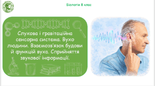 Презентація, конспект уроку та робочі аркуші на тему "Слухова і гравітаційна сенсорна система. Вухо людини. Взаємозв’язок будови й функцій вуха. Сприйняття звукової інформації". 8 клас НУШ