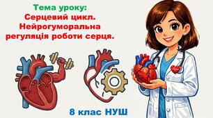Презентація з біології: Серцевий цикл.  Нейрогуморальна регуляція роботи серця. 8 клас НУШ