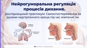 Нейрогуморальна регуляція процесів дихання. Дослідницький практикум: Самоспостереження за рухами надгортанного хряща під час ковтання їжі.