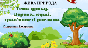 Презентація "Дерева, кущі, трав'янисті рослини." ЯДС 1 клас, підручник І. Жаркової