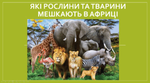 Рослини і тварини Африки