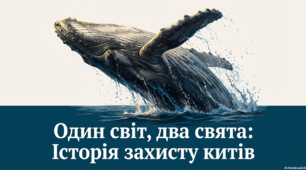 Один світ, два свята: Історія захисту китів.