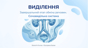 Презентація «Виділення – завершальний етап обміну речовин. Будова та функції сечовидільної системи»