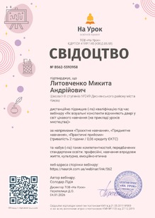  Як візуальні конспекти відчиняють двері у світ цікавого навчання на прикладі уроків мистецтва