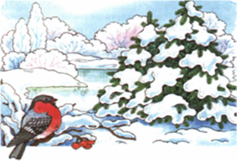 0900tdna-4fb4-339x231.png