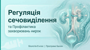 Нейрогуморальна регуляція процесів виділення. Захворювання органів виділення та їхня профілактика