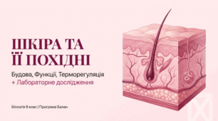 Презентація «Будова шкіри та її функції. Похідні шкіри, шкірні залози, їхні функції. Терморегуляція. Лабораторне дослідження “Дослідження будови шкіри та її похідних: нігтя, волосини”»