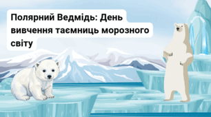 Полярний Медвідь: День  Вивчення Таємниць  Морозного Світу