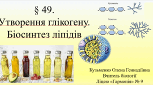 § 49. Утворення глікогену. Біосинтез ліпідів