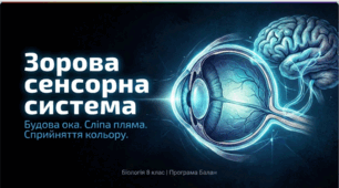 Зорова сенсорна система. Око. Лабораторні дослідження: Виявлення сліпої плями на сітківці ока. Дослідницький практикум: виявлення порушень сприйняття кольорів.