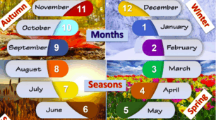 Months and Seasons. Worksheet.