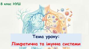 Презентація з біології: Лімфатична та імунна системи. 8 клас НУШ