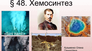 § 48. Хемосинтез (10 профіль)
