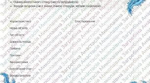 Практична робота "  Опис гідрографічного об’єкта своєї місцевості" 8 клас НУШ Географія