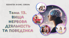 Тема 13. ВИЩА НЕРВОВА ДІЯЛЬНІСТЬ ТА ПОВЕДІНКА