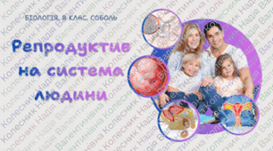 Репродуктивна система людини. 8 клас НУШ