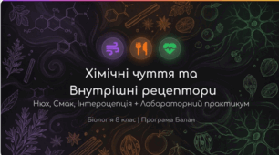 Презентація «Сенсорні системи нюху та смаку. Рецептори внутрішніх органів. Дослідницький практикум: дослідження смакової чутливості різних ділянок язика»