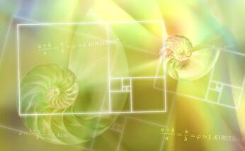 Зображення: Fibonacci spiral in nature