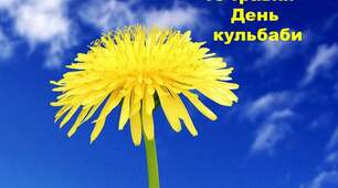 Інтегроване пізнавально-творче заняття + прогулянково-дослідницька діяльність: «КУЛЬБАБА – СОНЕЧКО НА ЗЕМЛІ»