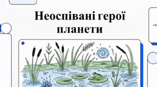 Неоспівані герої планети. Водно-болотне угіддя.
