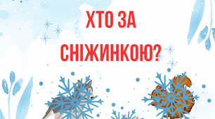 ❄️ Дидактична гра «Хто сховався за сніжинкою?»
