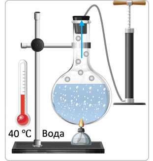 0900tkqx-3185-311x326.png