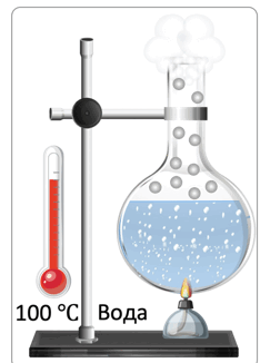 0900tkr0-1a9e-243x326.png