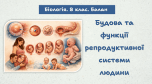 Будова та функції репродуктивної системи людини. 8 клас НУШ