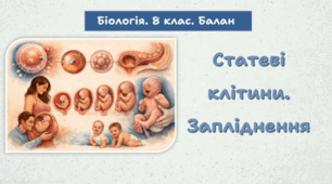 Статеві клітини. Запліднення. 8 клас НУШ. 8 клас НУШ