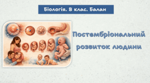 Постембріональний розвиток людини. 8 клас НУШ