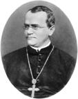 Мендель, Грегор Иоганн — Википедия