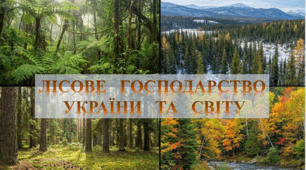 9 клас, презентація "Лісове господарство України та світу"